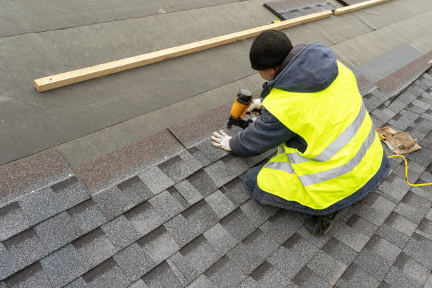 Best Metal Roofing Contractor  in Halsey, OR