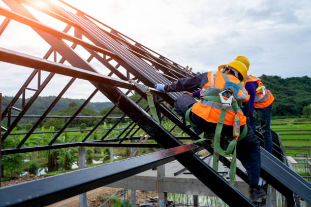 Best Roof Restoration Services  in Halsey, OR