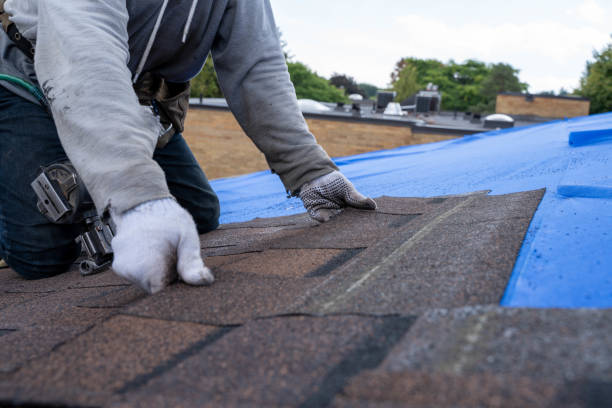 Residential Roof Replacement in Halsey, OR
