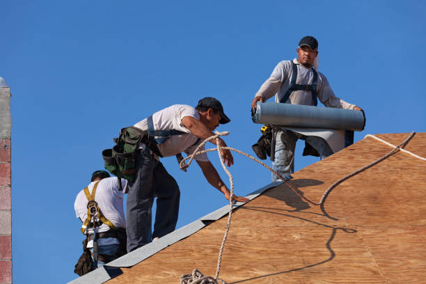 Best Commercial Roofing Services  in Halsey, OR