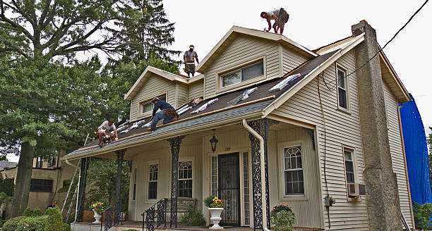 Best Local Roofing Companies  in Halsey, OR