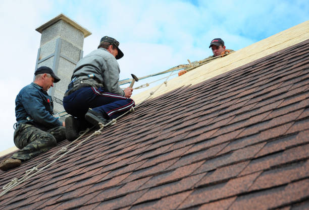 Reliable Halsey, OR Roofing Contractor Solutions