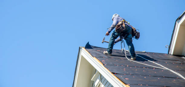 Best Roof Repair Services  in Halsey, OR